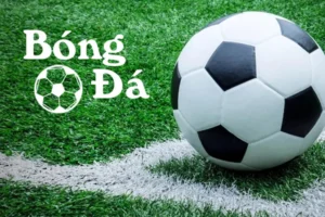 Quy Tắc Xác Định Bóng Trong Cuộc Và Bóng Ngoài Cuộc Cần Biết