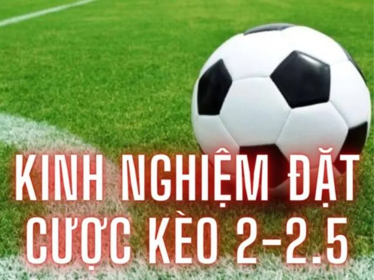 Bí Quyết Chinh Phục Kèo 2.25 Tại 1Gom Mang Lại Lợi Nhuận Cực Lớn