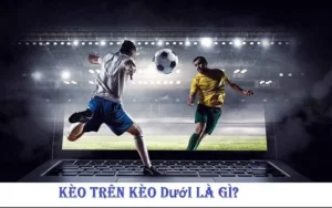 Bí Kíp Soi Kèo Trên Kèo Dưới Tại 1Gom Dành Cho Người Mới Bắt Đầu