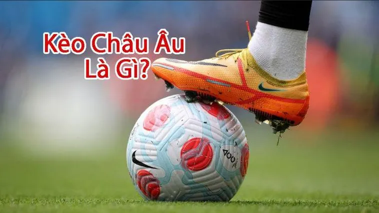 Bí Kíp Đọc Kèo Châu Âu Tại 1Gom Để Thắng Đậm