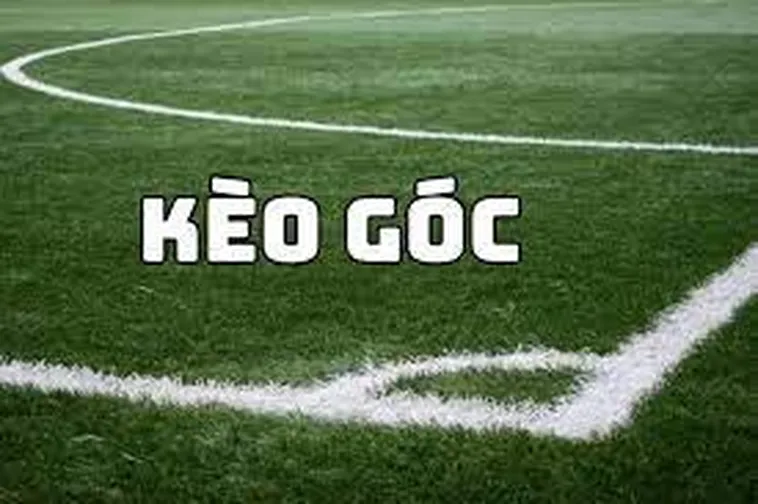 Hướng Dẫn Soi Kèo Phạt Góc Bóng Đá Tại 1Gom Hiệu Quả Nhất