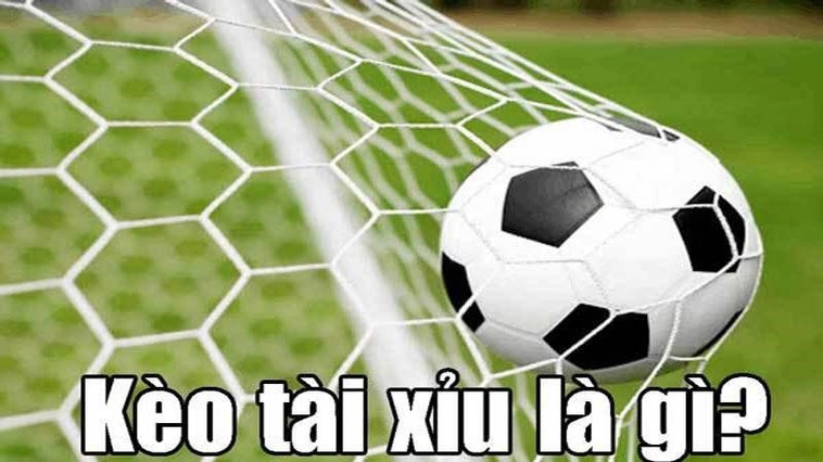 Tuyệt Chiêu Soi Kèo Tài Xỉu Bóng Đá Tại 1Gom Cực Chuẩn