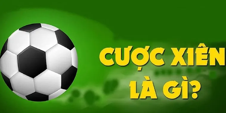 Cách Đánh Kèo Xiên Trong Bóng Đá Tại 1Gom Luôn Mang Lại Lợi Nhuận Cao