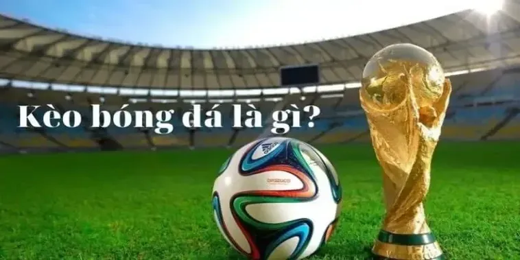 So sánh tỷ lệ kèo (Odds Comparison): Tổng hợp bảng kèo từ hàng chục nhà cái lớn trên thế giới như Crown, Bet365, 188Bet, giúp người chơi dễ dàng tìm ra "giá" tốt nhất để tối ưu hóa lợi nhuận cho mỗi mã cược.
